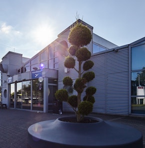 Baum vor dem Terminal